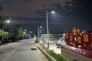 MK国际,MK（中国）一站式体育服务官方网站集团罗宁弟爱心捐赠路灯，点亮乡村路温暖乡民心